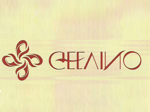 �Ɵo������ۣ����޹�˾