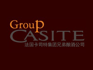 ����Casite���F�ֵ�ᄾ����޹�˾