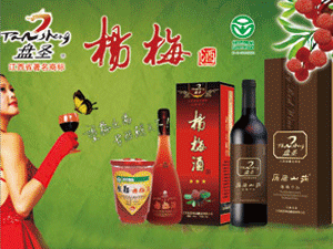 �����P(p��n)ʥʳƷ������޹�˾