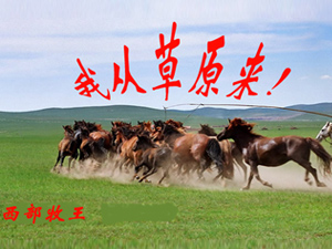 ����������ȫ���I�N����