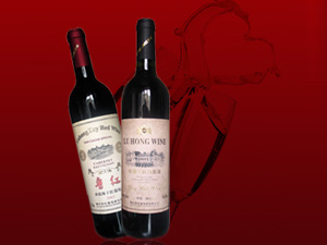 ���_���Z���Ѿ����޹�˾