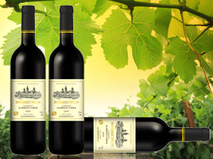 ɽ�|�ټ{���ƘI(y��)���޹�˾