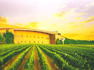 ����ľ�R�����o(j��)��˹�ƘI(y��)���޹�˾