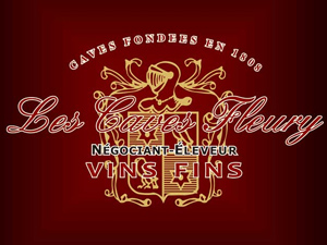 ��M�������޹�˾