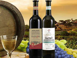 ���u�ķƱ��ƘI(y��)���޹�˾