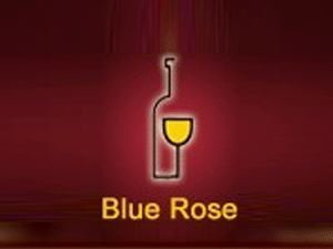 �Ϻ��{(l��n)õ���M(j��n)�����Q(m��o)�����޹�˾