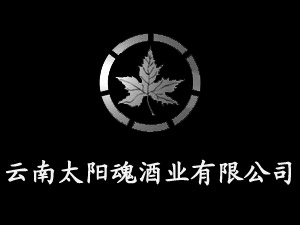 ����̫ꖻ�ƘI(y��)���޹�˾