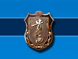 ��������ͨͶ�Y���޹�˾