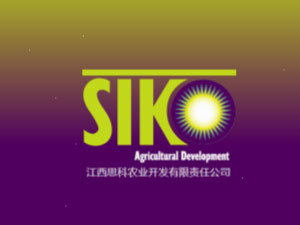 ����˼���r(n��ng)�I(y��)�_�l(f��)���޹�˾