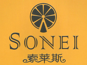 �˲����R˹�ƘI(y��)���޹�˾