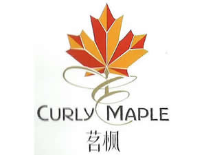 ���_(t��i)�Ɨ����Ѿ����޹�˾