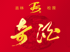 ��ԭ������������؟(z��)�ι�˾