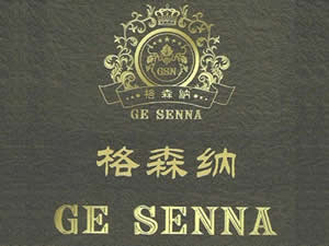 �����R�mɽܰ�����B(t��i)�r(n��ng)�I(y��)�Ƽ��_�l(f��)���޹�˾