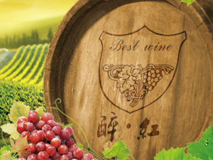 �ؑc���t�Q(m��o)�����޹�˾