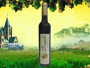 ��ɽ���Ð��M�����Q�����޹�˾