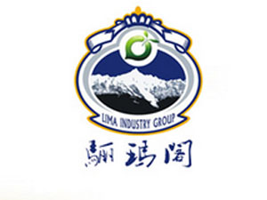 �����P������Ƽ����޹�˾