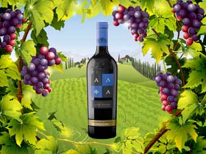 ����ʸ܇���M(j��n)�����Q(m��o)�����޹�˾