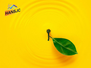 ���u�h˹��ˬ������޹�˾