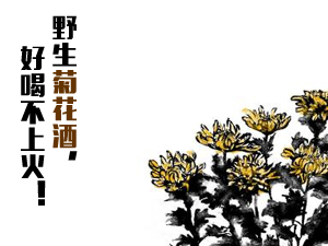 ����ʡ俿h�Ɖ����ξƏS