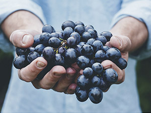 �}���а����D�ƘI(y��)�M(j��n)�����Q(m��o)�����޹�˾