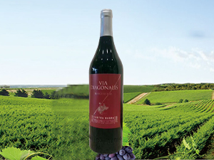 �Ϻ����Z(y��)��(gu��)�H�Q(m��o)�����޹�˾