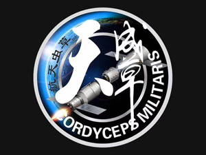 �������濵�����Ƽ����޹�˾