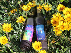 ÷�����ĹŌ��I(y��)���޹�˾