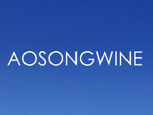 �W�ɾƘI(y��)(�Ϻ�)���޹�˾