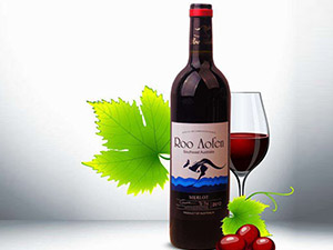 �Ϻ������M(j��n)�������޹�˾