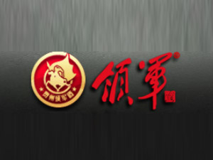 �F��ʡ�ʑ���é�_(t��i)�(zh��n)�I(l��ng)܊�ƘI(y��)���޹�˾