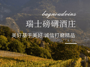 �����y��ŘI(y��)���޹�˾