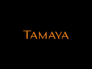 �����������Q(m��o)�����޹�˾