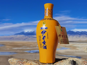 �½��f�I(y��)���޹�˾