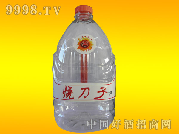 �����Ӿ�