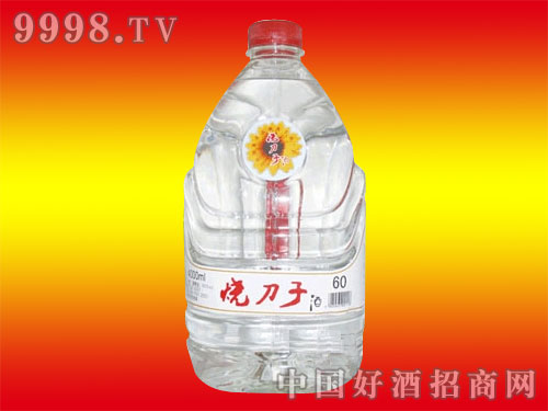 ������60�Ⱦ�8��