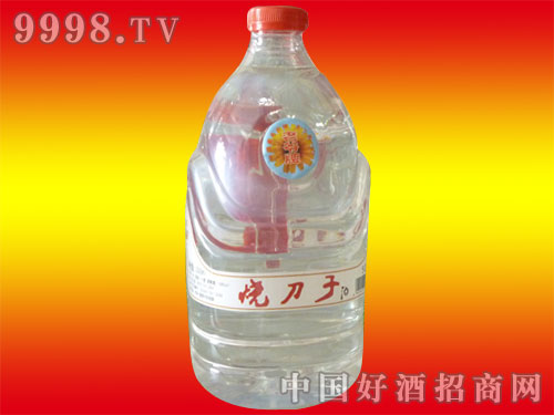 ������50�Ⱦ�4��