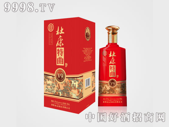 �ſ�����V9