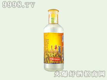 ���IС�׾�40��500ml��1��12��