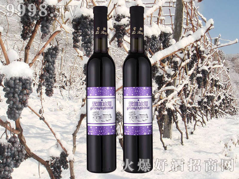 ��ͩ���@���t���Ѿ�