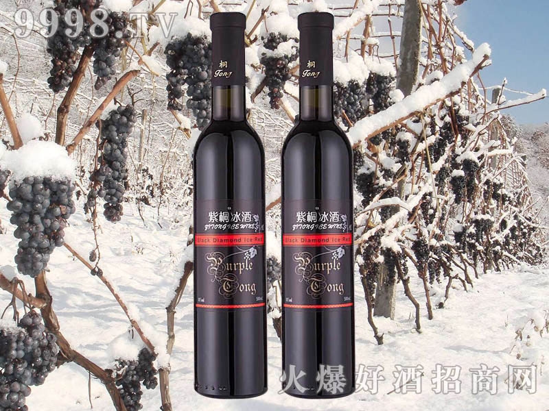 ��ͩ���@���t���Ѿ�