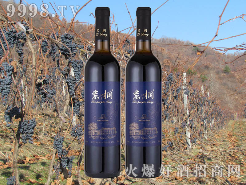 ��ͩ���x����ɽ���Ѿ�