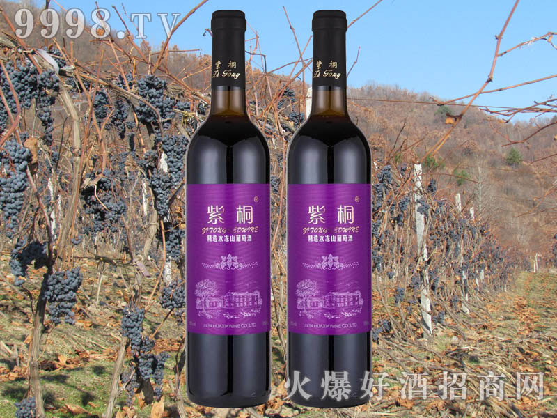 ��ͩ���x����ɽ���Ѿ�