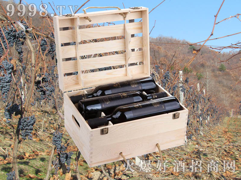 ��ͩ��(y��u)�x����ɽ���Ѿƣ��䣩