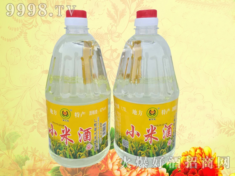 �Ϡ�ԪС�׾�