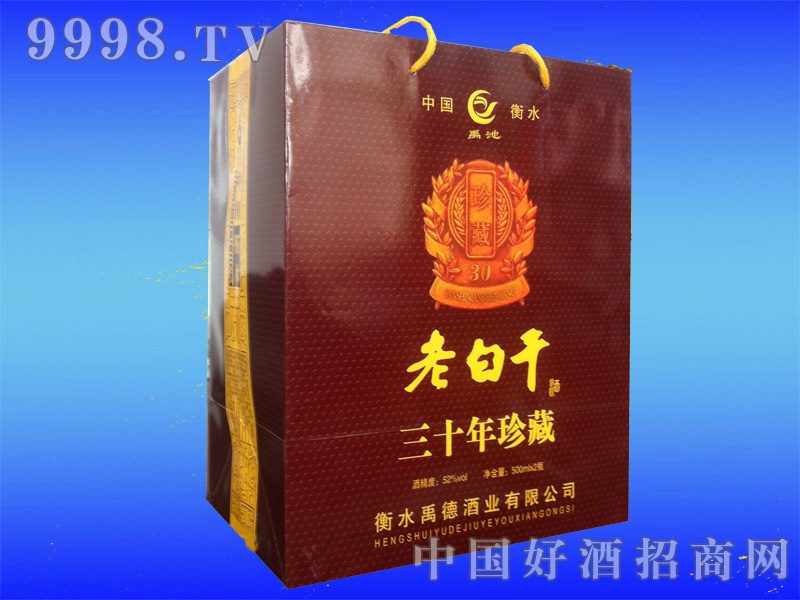 ��ʮ�������