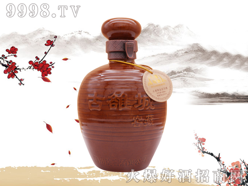 ���óǽѲؾ������Ͱ׾�