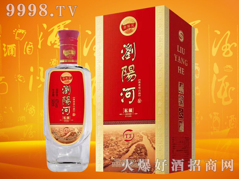 �g�(y��ng)�Ӿ�˽��T3