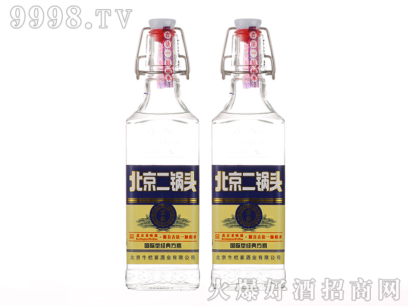 ��������^���H�ͽ�(j��ng)�䷽ƿ�����Ͱ׾ơ�42��500ml��