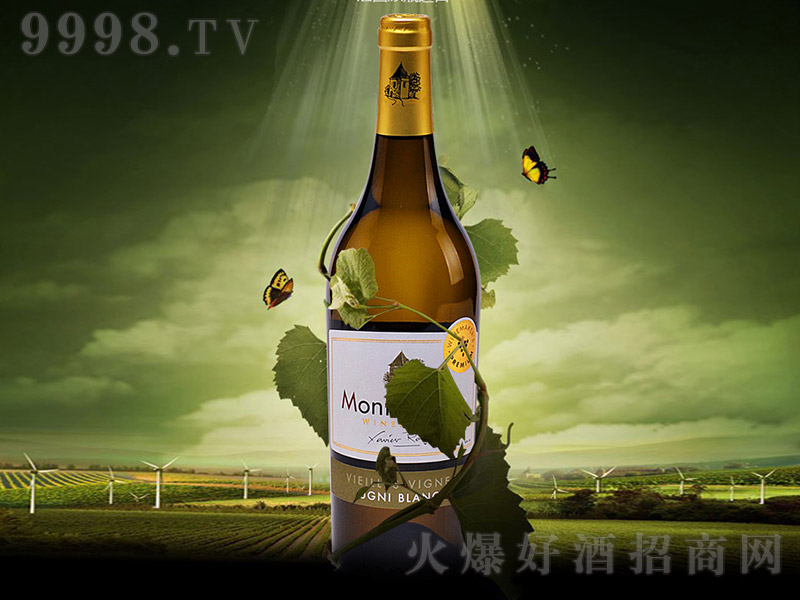 Ľ���ű������Ѿơ�12��750ml��