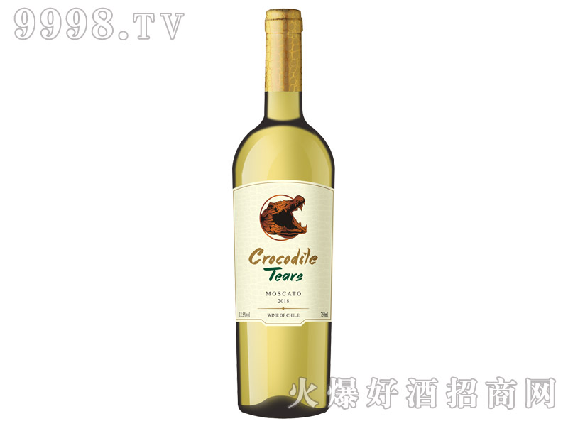 �����{�~�IĪ˹����������Ѿ�